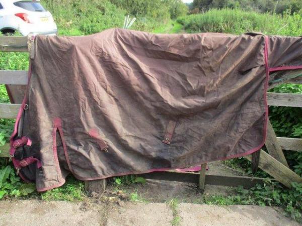 Image 1 of LIGHT WEIGHT TURNOUT RUG.........