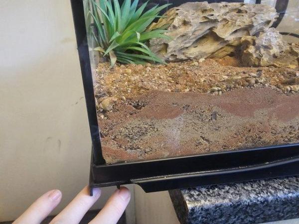 Image 6 of Zoo med glass terrarium,  tarantula  / scorpion
