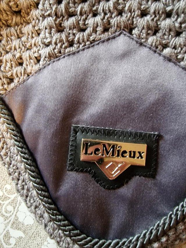 Preview of the first image of Le Mieux grey loire ear protectors.