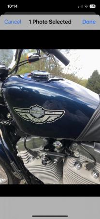 Image 9 of Harley Davidson 100th Anniversary Edition XLH Sportster 883