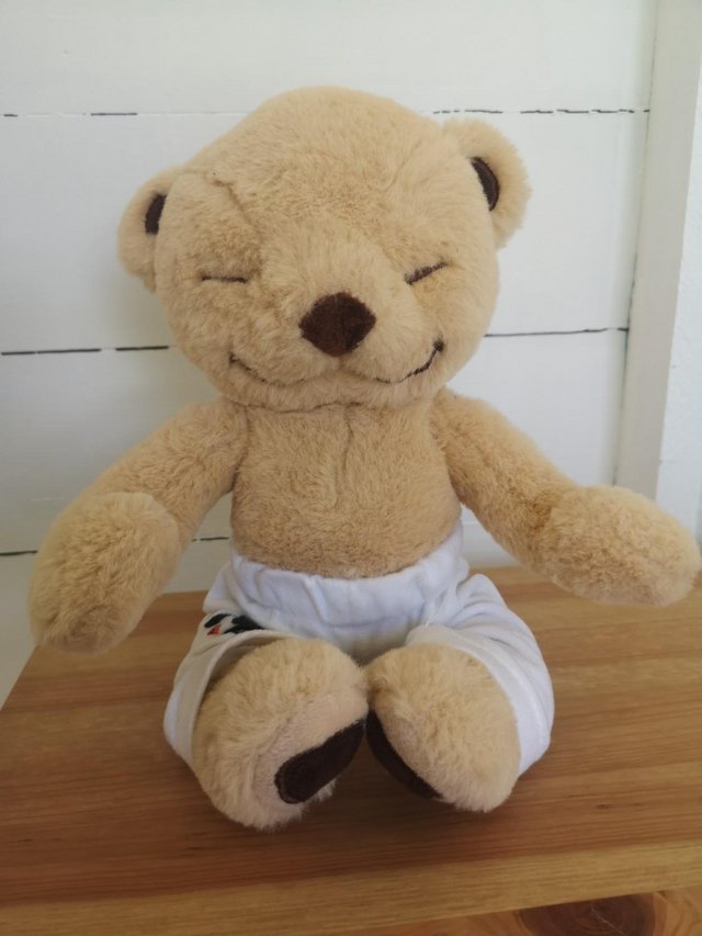 Preview of the first image of Meddy Teddy Meditation/yoga/mindfulness bear.