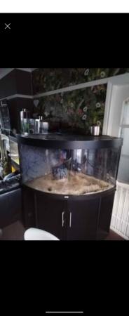 Image 1 of Large juwel corner fish tank with stand