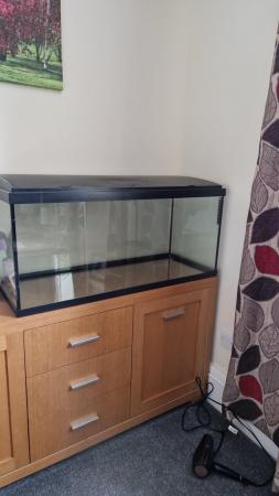 Image 3 of 3ft+ glass tank for gerbils reptiles snake etc
