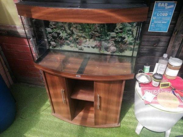 Image 3 of LARGE CURVED FRONT FISH TANK WITH CABINET
