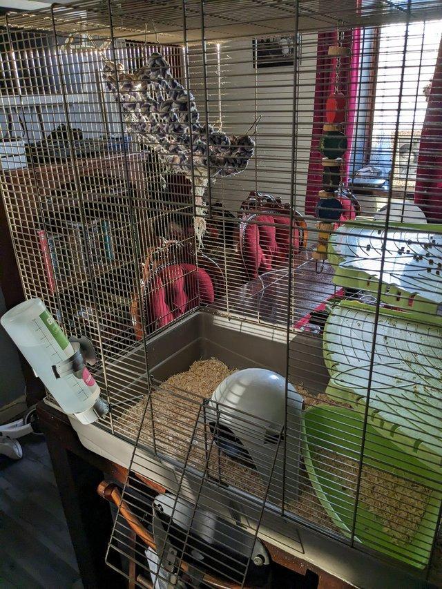 Preview of the first image of Large rat cage for sale good condition.