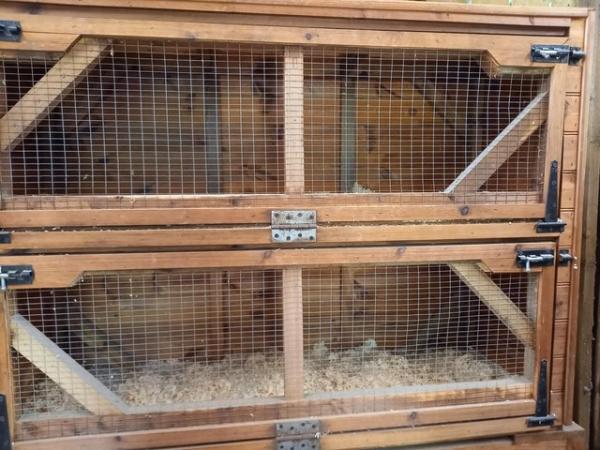 Image 1 of Very Strong Rabbit/Guinea Pig Hutch or Chick brooder