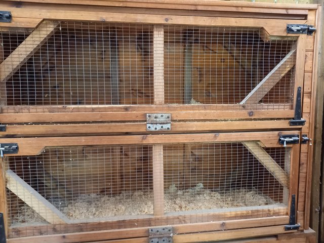 Preview of the first image of Very Strong Rabbit/Guinea Pig Hutch or Chick brooder.