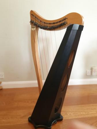Image 4 of Dusty Strings Ravenna 26 Lever Harp with Deluxe Travel Case