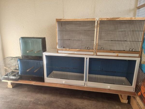 Image 9 of Birds cages for small birds ??  all good condition quick sal