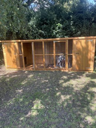 Image 3 of Large dog kennel Uk kennels make