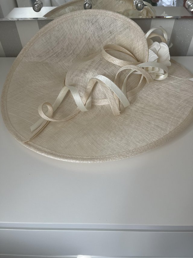 Preview of the first image of Lizabella Mother of the Bride /Groom Dress and Hatinator.