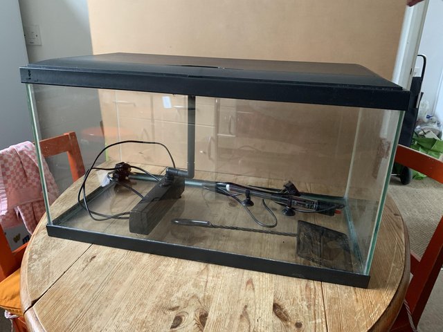 Preview of the first image of 54 litre / 12 gallons Aquarium.