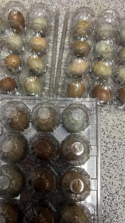 Image 1 of Quail eggs for hatching fertilised  Chinese painted /japanes