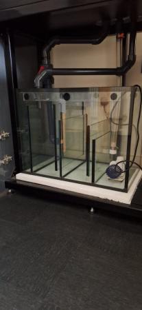 Image 15 of Bespoke Fish Tank / Aquarium, Sump & Stand Set-Up For Sale