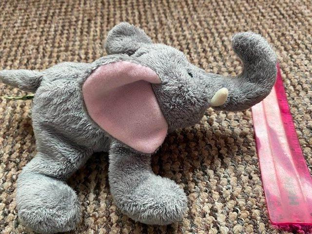 Preview of the first image of Cute super soft elephant cuddly toy.