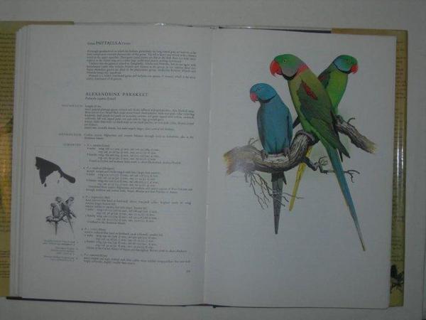 Image 3 of PARROTS OF THE WORLD BIRD BOOK
