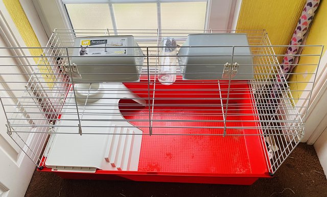 Image 5 of Indoor cage & full setup for sale