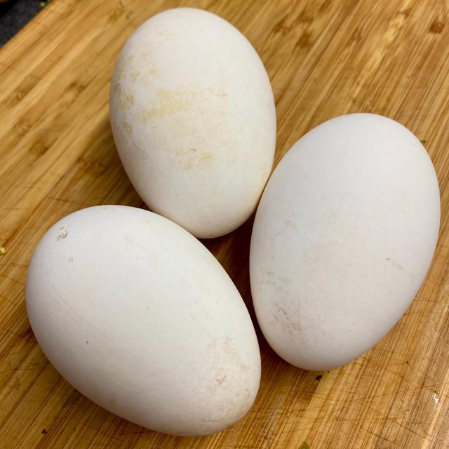 Preview of the first image of Dewlap Toulouse Goose Eggs.