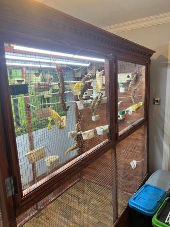 Image 6 of Beautiful indoor aviary fully equipped with lighting