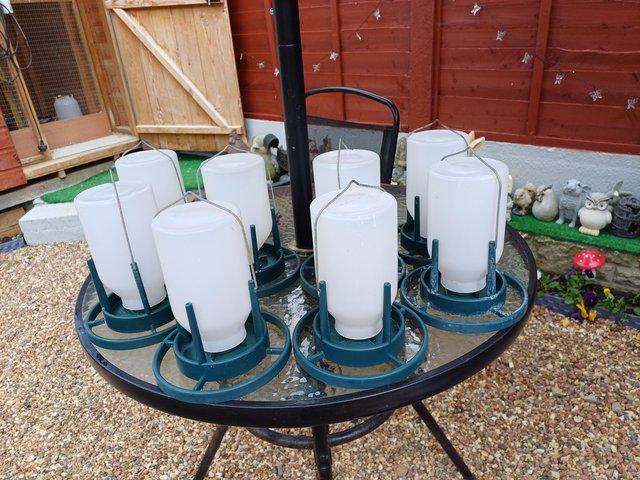 Preview of the first image of 6 Bird feeders and  2 water pot.