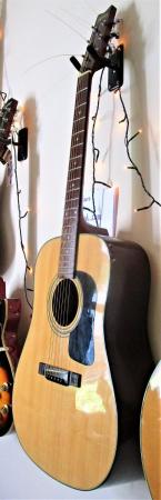 Image 5 of WASHBURN D10Acoustic Guitar. New Quality strings used in S