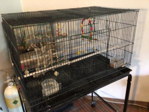 Image 5 of Large Bird Cage and Stand suitBudgie Cockatiel Canary