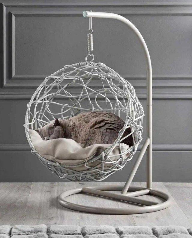 Preview of the first image of Cat egg chair hanging bed  brand new.