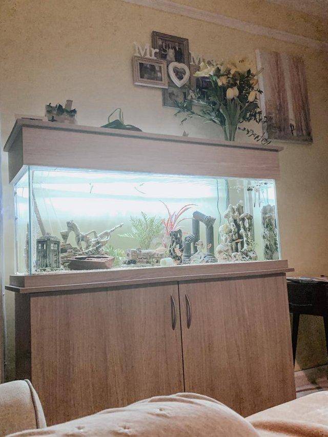 Preview of the first image of Fish tank and set up - SeaBray Elite 48" x 15" x 20” Aquariu.