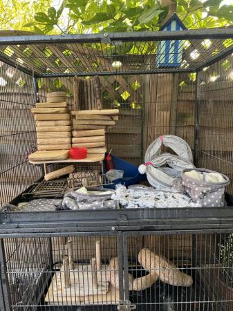 Image 4 of Rat cage and accessories