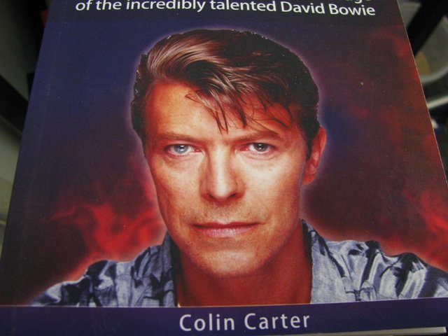 Preview of the first image of DAVID BOWIE QUIZ BOOK COLIN CARTER PAPERBACK NR NEW.
