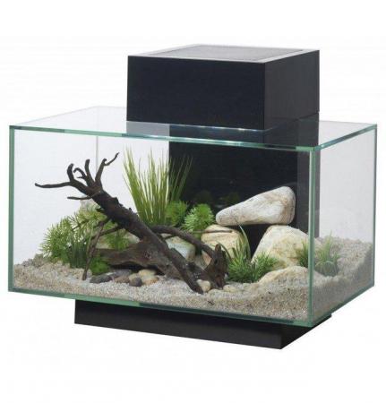 Image 6 of Fish Tanks Available At The Marp Centre