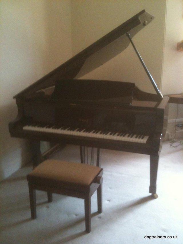 Preview of the first image of Piano Petrof Baby Grand Piano. 583902.