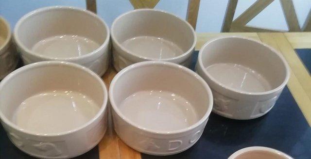 Preview of the first image of Mason Cash Ceramic Light Brown Pet Water Bowls.