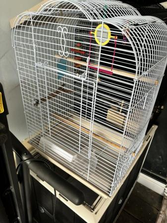 Image 5 of Medium Bird cages for sale