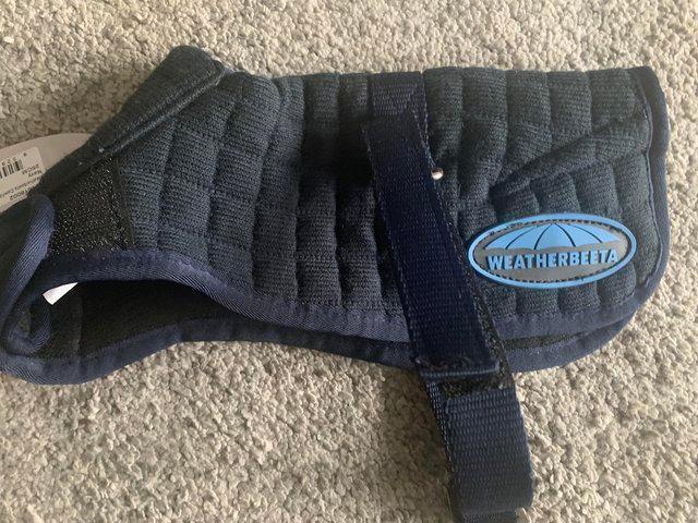 Preview of the first image of Weatherbeeta navy blue dog coat.