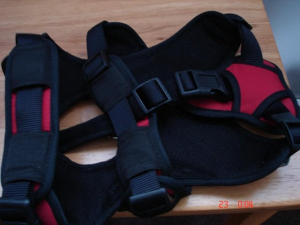 Image 5 of red/black dog harness very strong