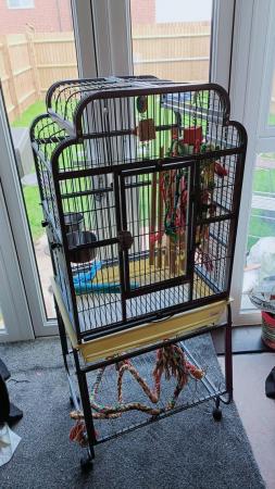 Image 2 of Parrot cage with accessories & toys