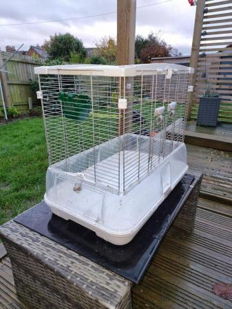 Image 2 of Aviary equipment and birds available