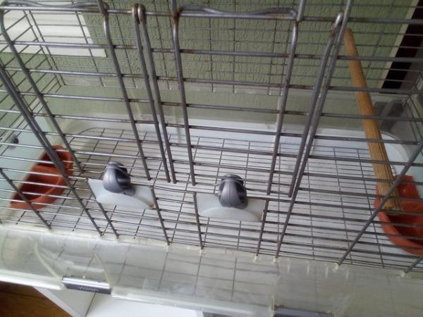 Image 7 of Large Vision bird cage for sale