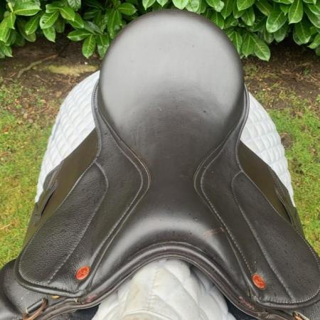 Image 10 of Saddle Company 16.5” Jump saddle
