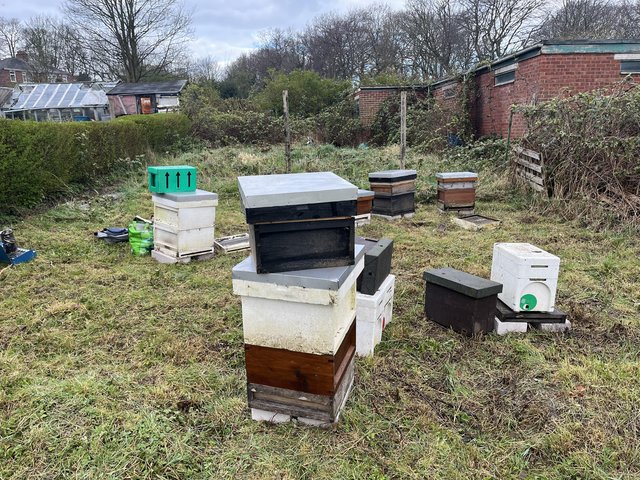 Preview of the first image of Bees and beehives nucleus hives and some other equipment.