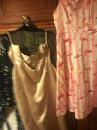 Image 2 of Lindy pop flamingo dress size 16