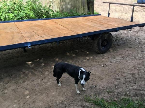 Image 8 of Flatbed Bale Trailer for Tractor Smallholding Harvest Hay