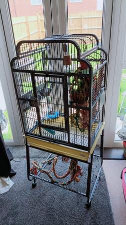 Image 1 of Parrot play stand with toys