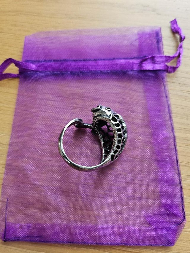 Preview of the first image of Pewter Quirky Retro Fish Ring.
