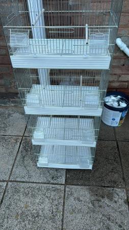 Image 1 of Essex bird cages used finches and canines