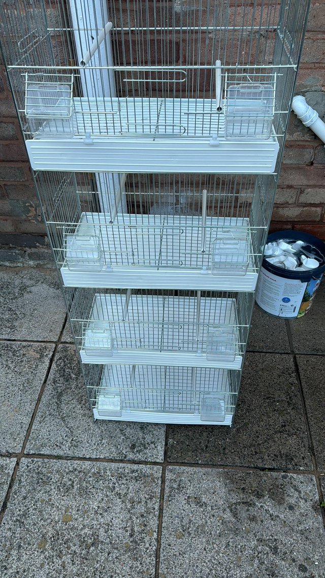 Preview of the first image of Essex bird cages used finches and canines.