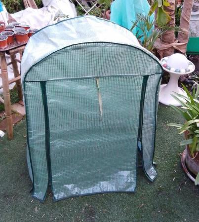 Image 4 of Mini Greenhouse for Plants & Seedlings