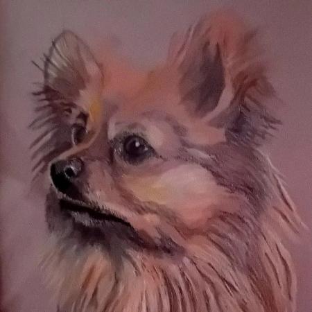 Image 2 of Hand Drawn Pet Portraits in pastel