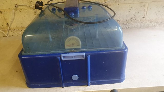 Image 1 of Corti incubatorsemiautomatic
